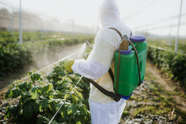 Best Pest Inspection Near Me  in Emory, VA